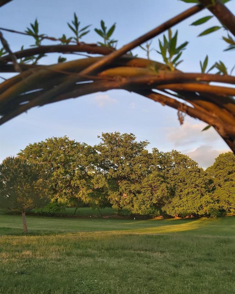 Gîte Au Coin des Granges, Bio - photo 4