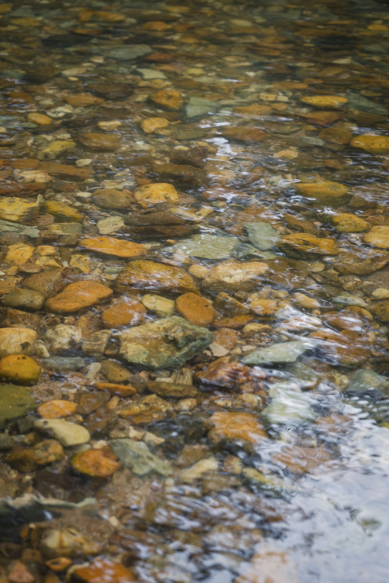 Célé'té en Vallée du Célé : Écrivons ensemble le grand livre du Célé !, Saint-Sulpice - photo 2