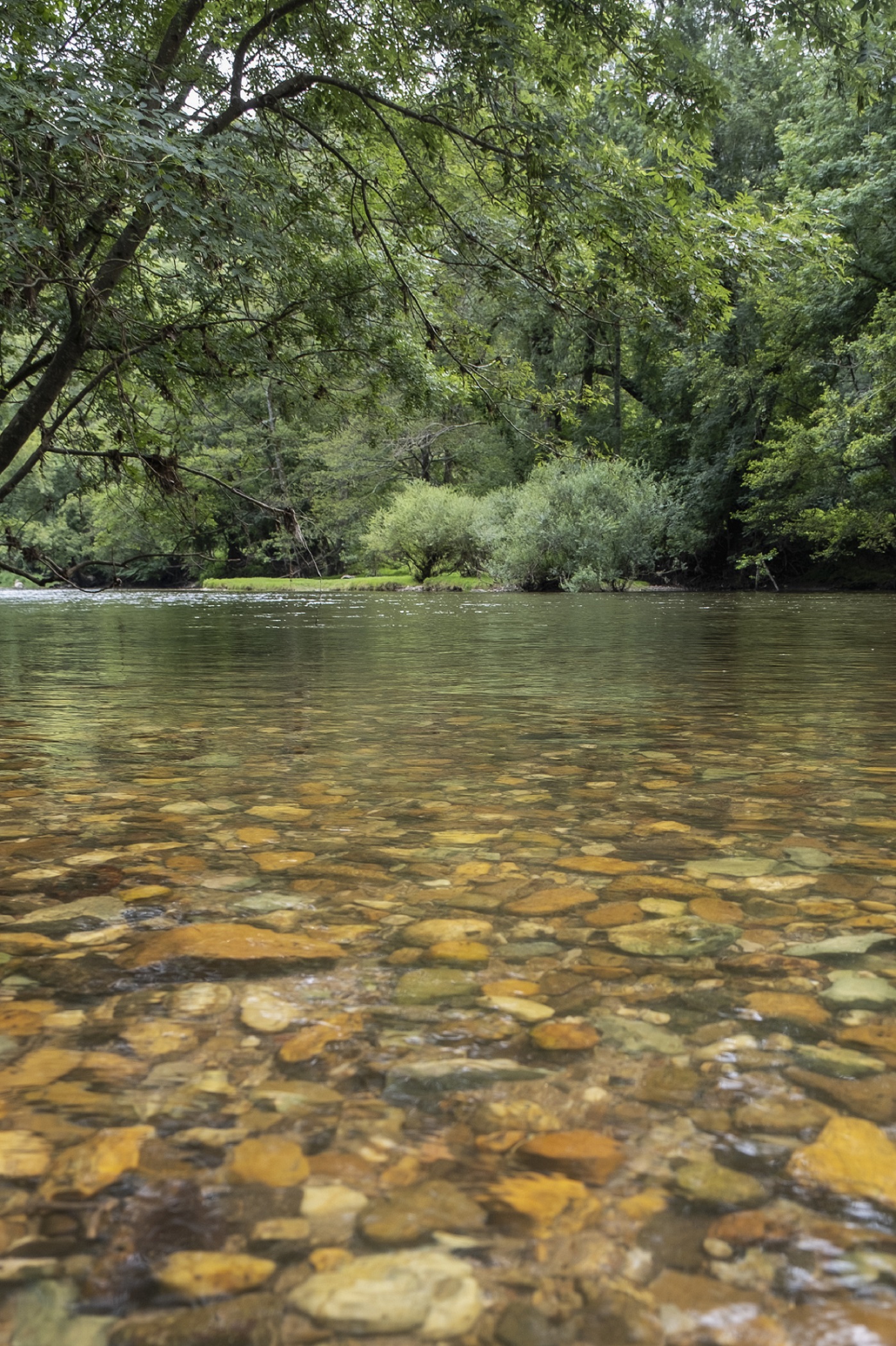 Célé'té à Espagnac-saint-Eulalie : conférence en marchant, sortie découverte de l'ancienne gravière, Espagnac-Sainte-Eulalie - photo 2