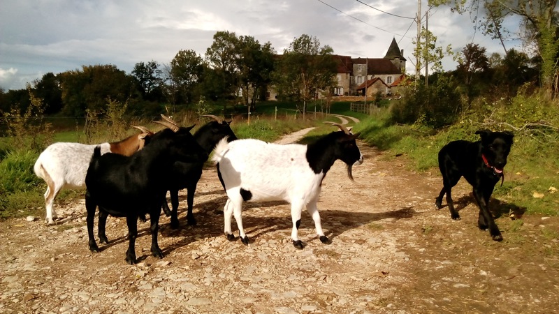 Les Tours de Tersac, Cressensac-Sarrazac - photo 25