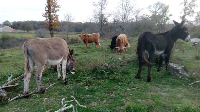 Les Tours de Tersac, Cressensac-Sarrazac - photo 26