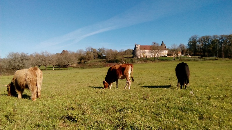 Les Tours de Tersac, Cressensac-Sarrazac - photo 27