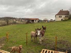 Les Sources, Le Vigan
