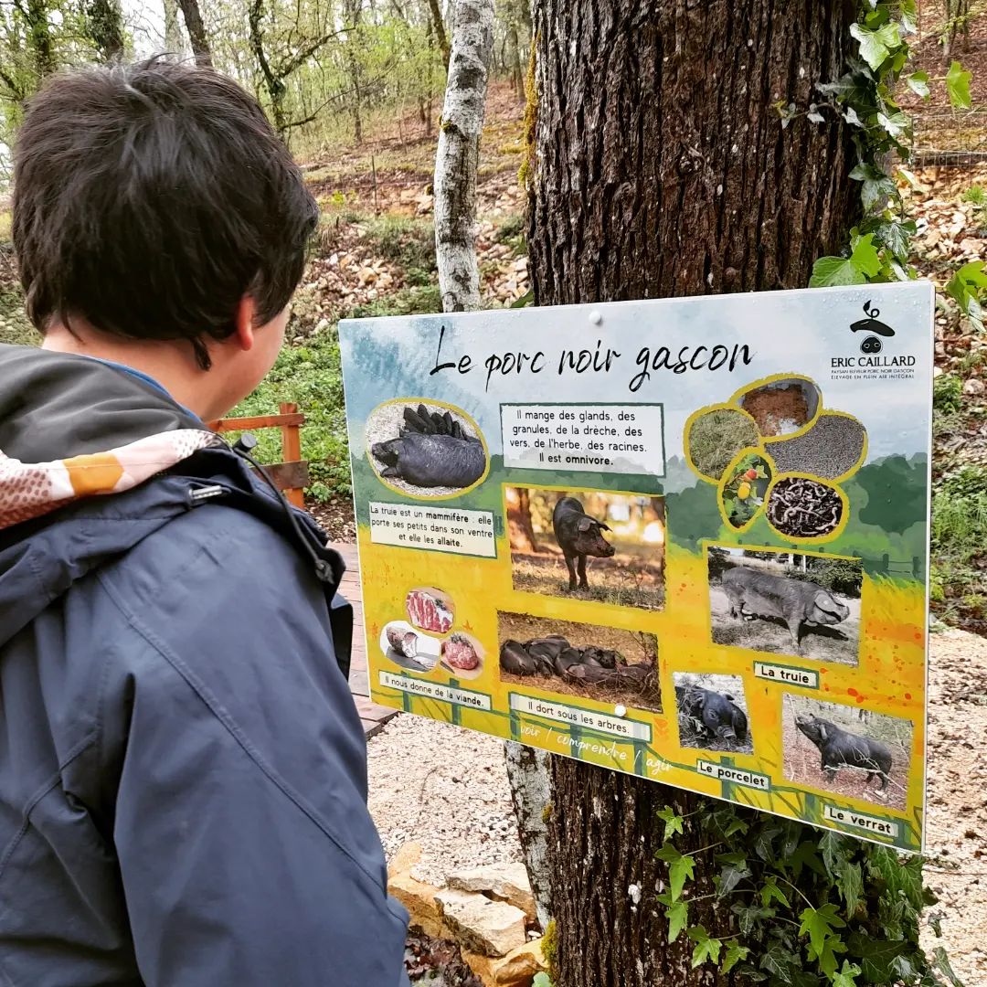 Eric Caillard - Ferme du Tessou