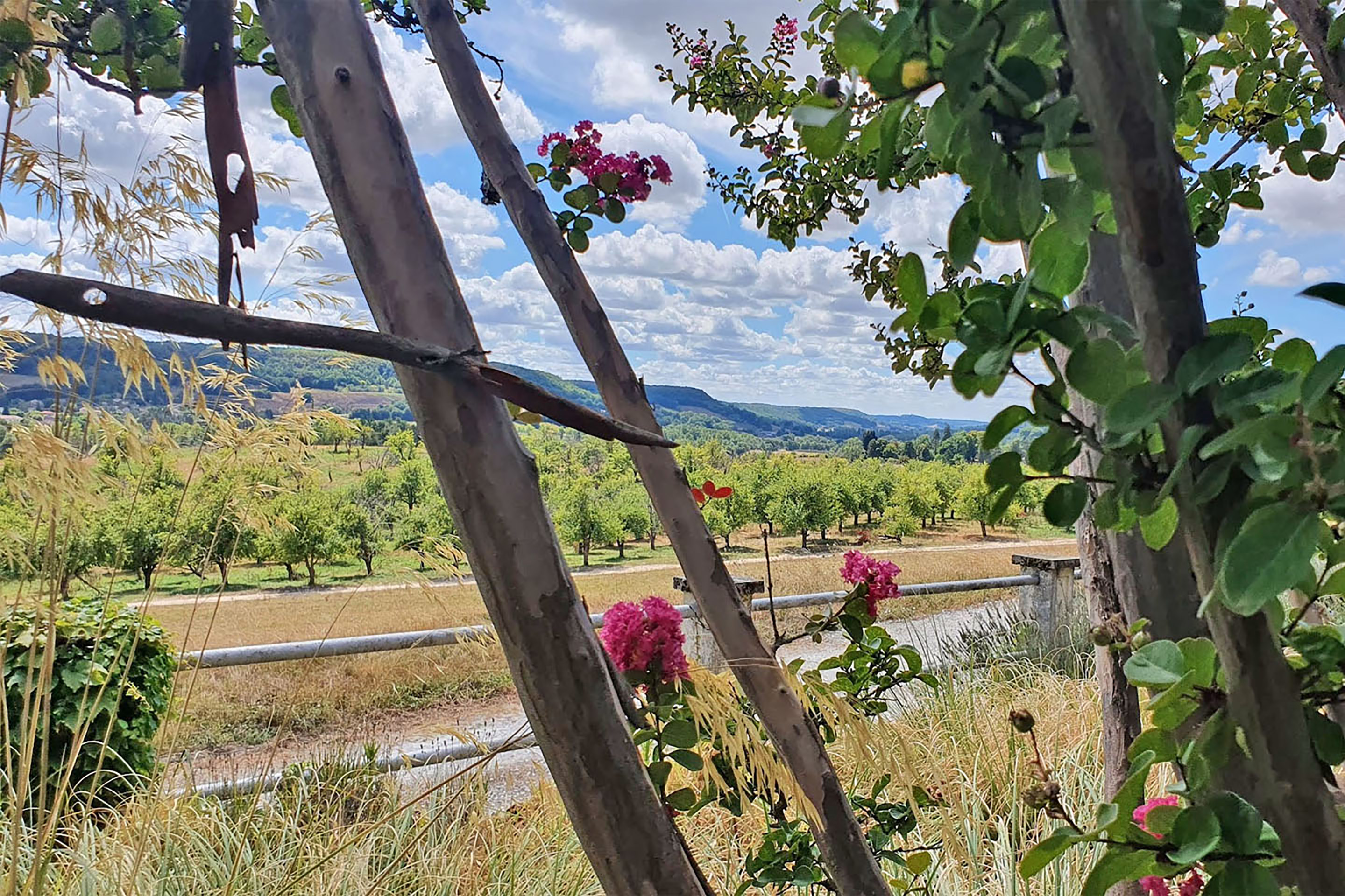 Domaine Lapèze - Gîte Le Cabernet, Montcuq-en-Quercy-Blanc - photo 10