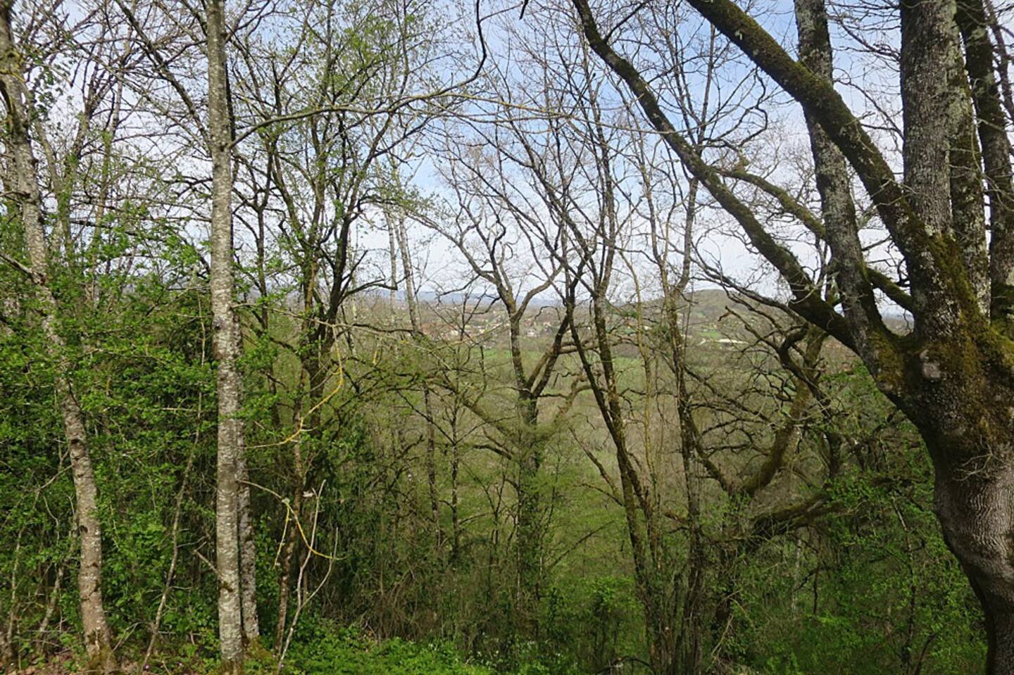 Gîte Lacépède, Condat - photo 2