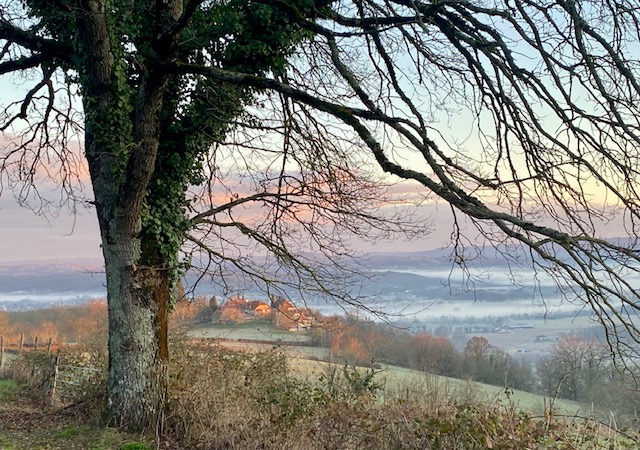 Manoir de Rieuzal, Loubressac - photo 16
