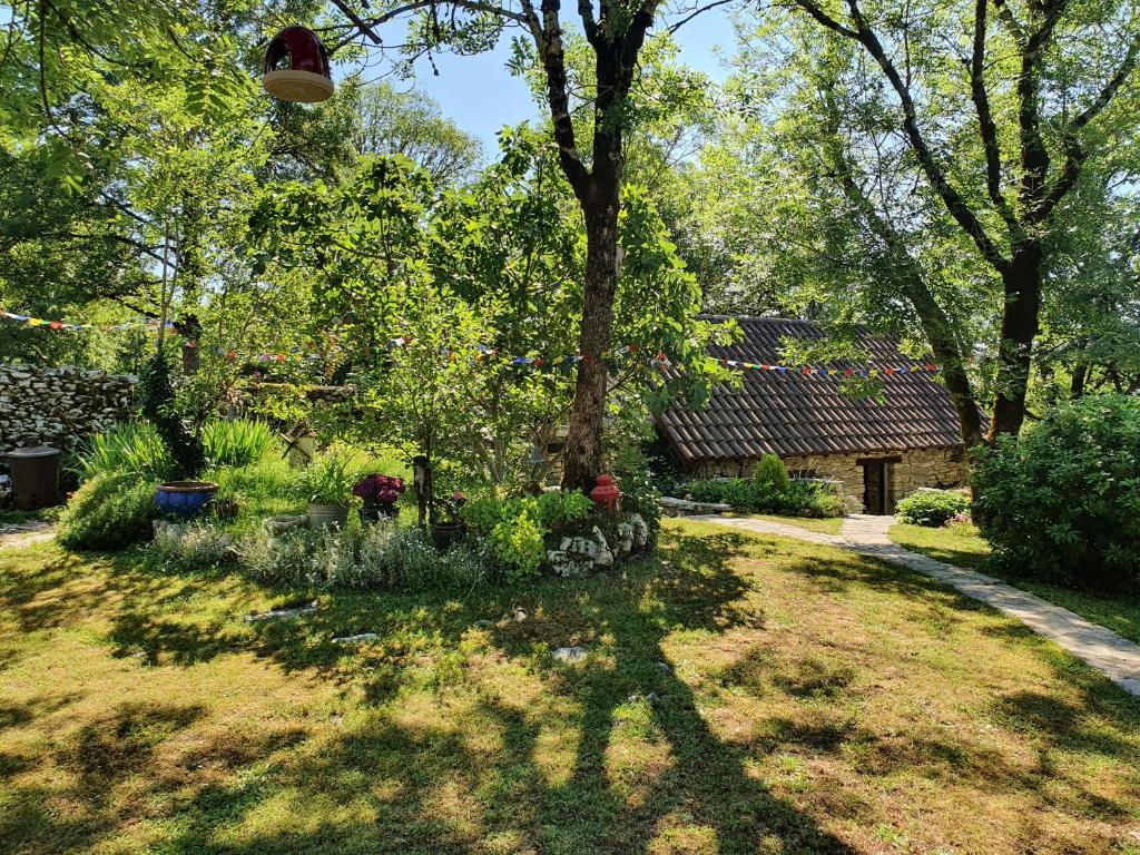 Gîte sur le Causse de St Chels - Le Causse, Saint-Chels - photo 4