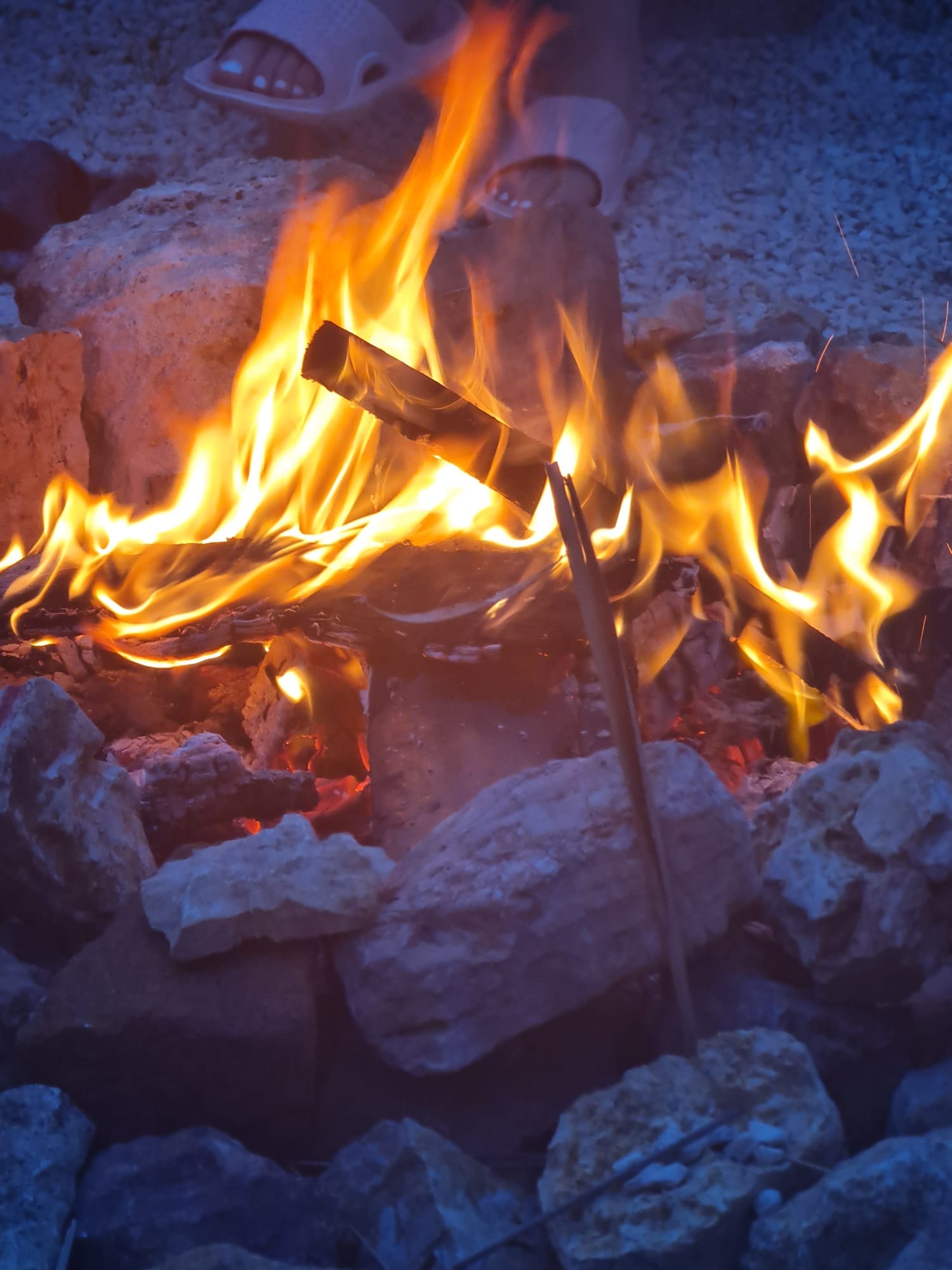 Domaine De La Velle, Montcléra - photo 8