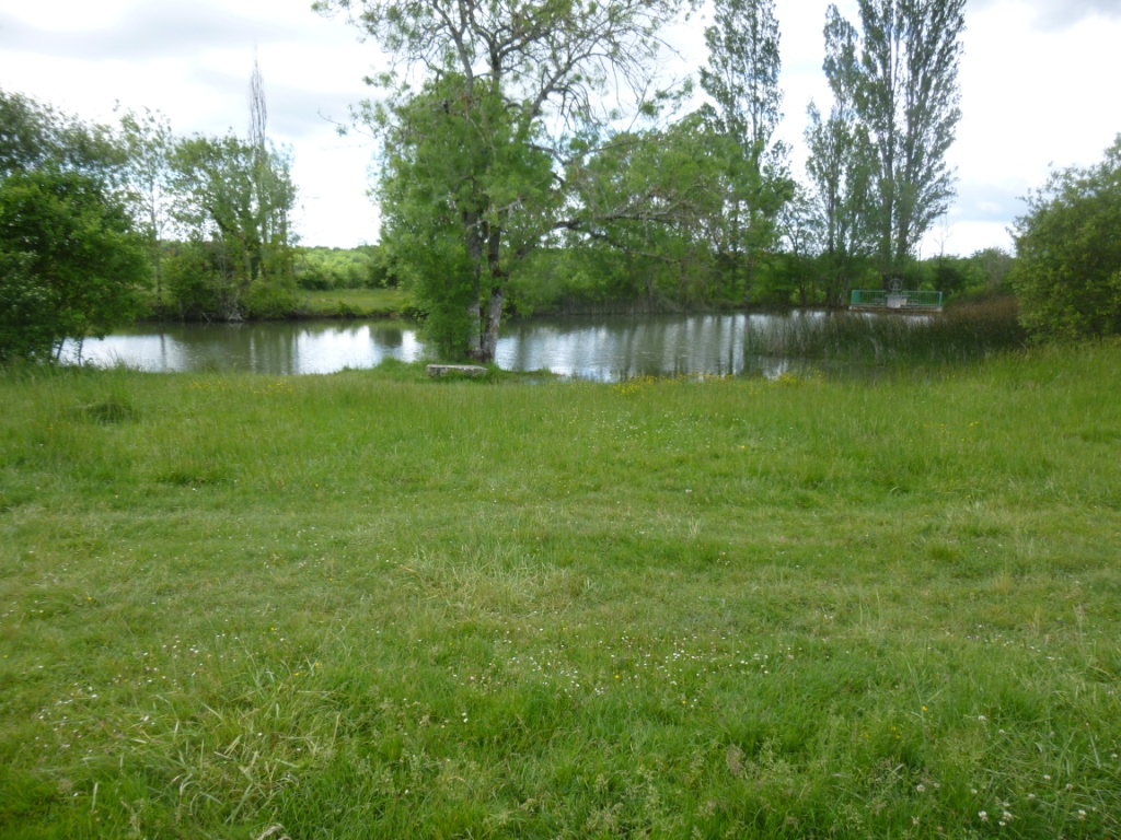 353794_fraysse_1jpg