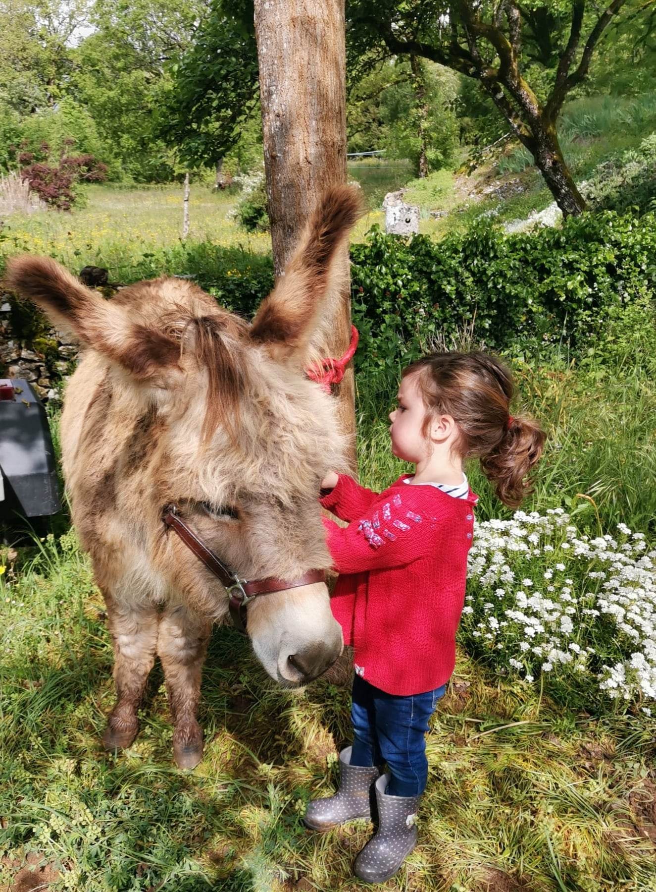 Les ânes de Lapopie, Berganty - photo 2