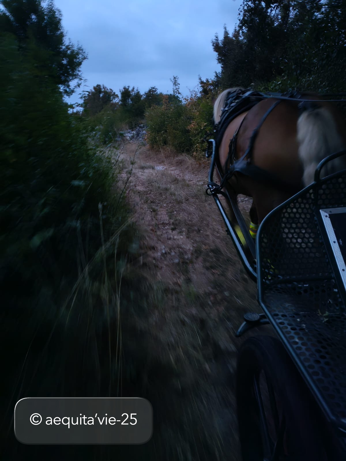 Aequita-vie, Caniac-du-Causse - photo 5