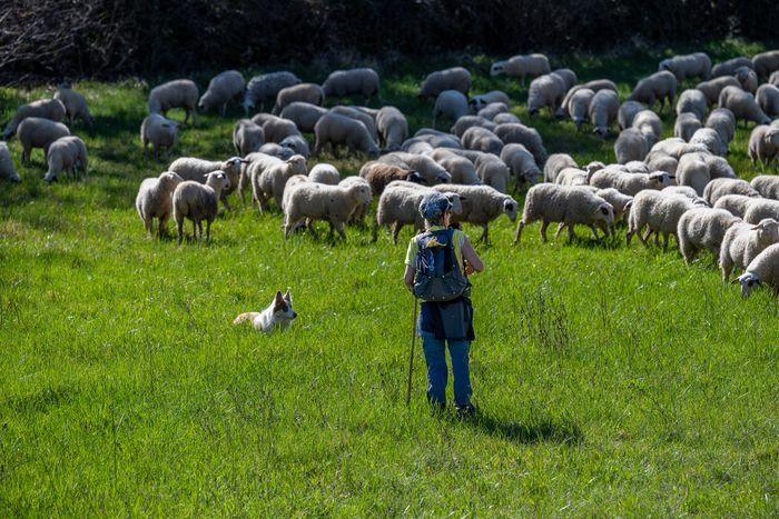 Exposition ParcourS - Partage des enjeux du pastoralisme avec éleveurs et acteurs du territoire