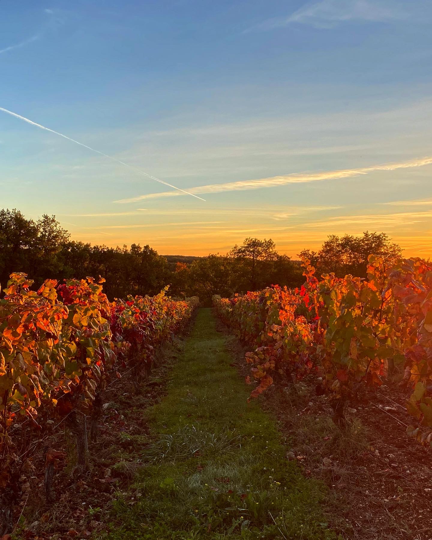 Léa des Bories, Barguelonne-en-Quercy - photo 4
