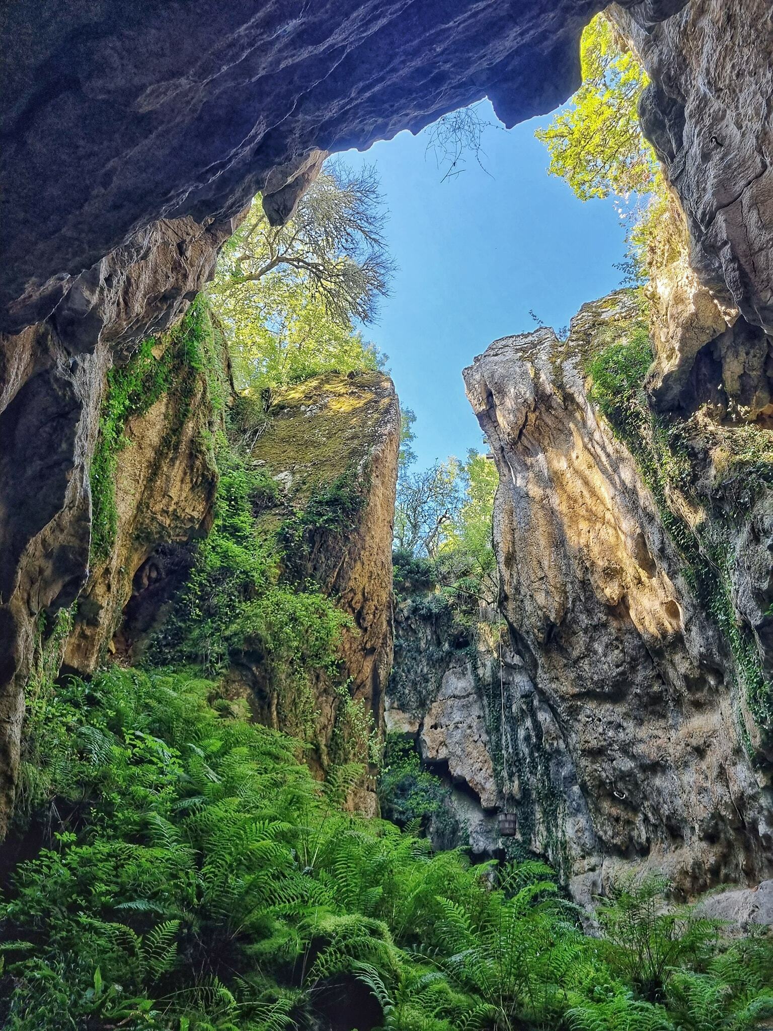 Visite Guidée d'un Patrimoine Géologique d'Intérêt Mondial aux Phosphatières du Cloup d'Aural