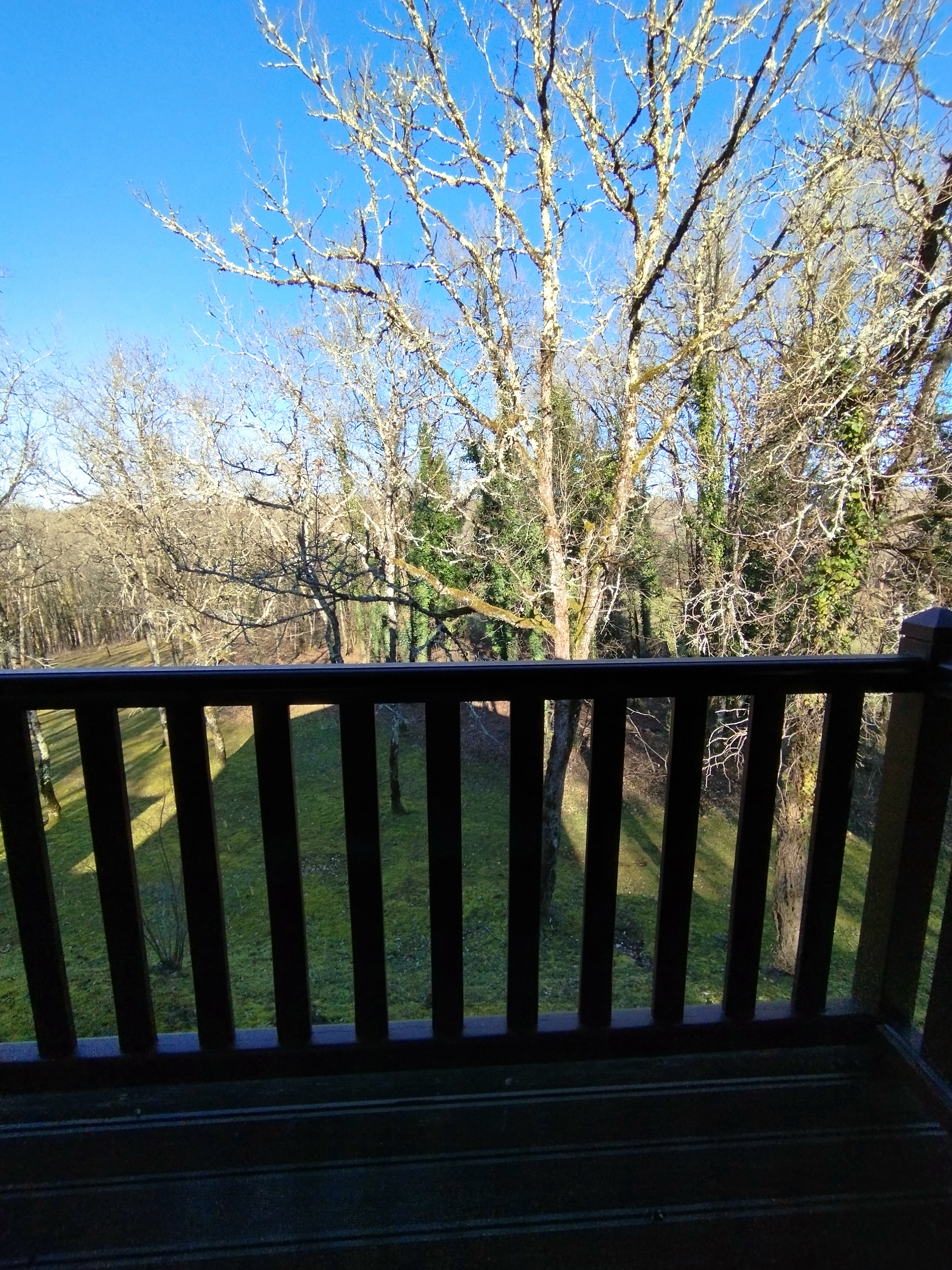 Cattleya 4 étoiles pleine nature dans golf, Lachapelle-Auzac - photo 28