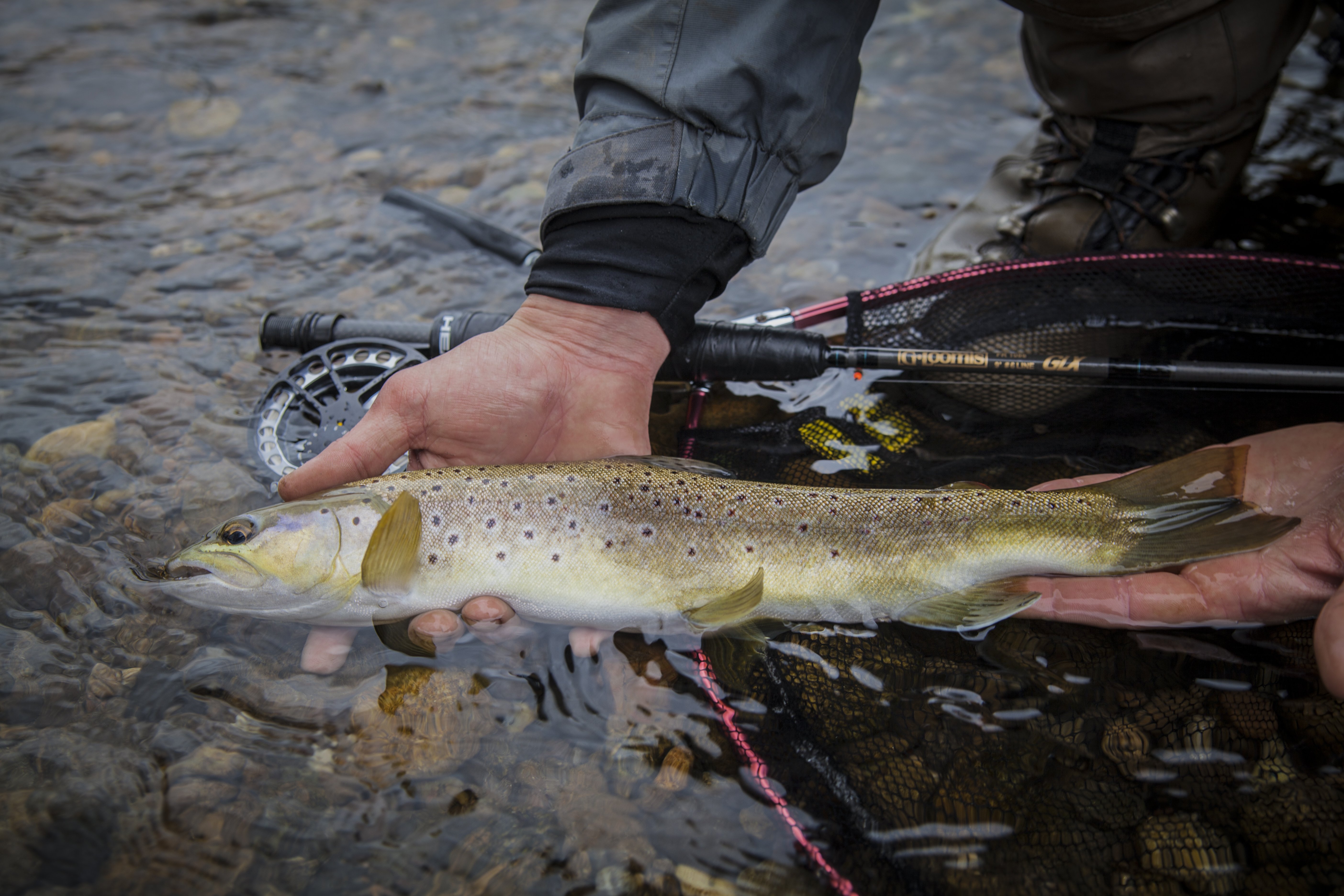 Adrien Sauvestre - Moniteur Guide de pêche, Le Vignon-en-Quercy - photo 10