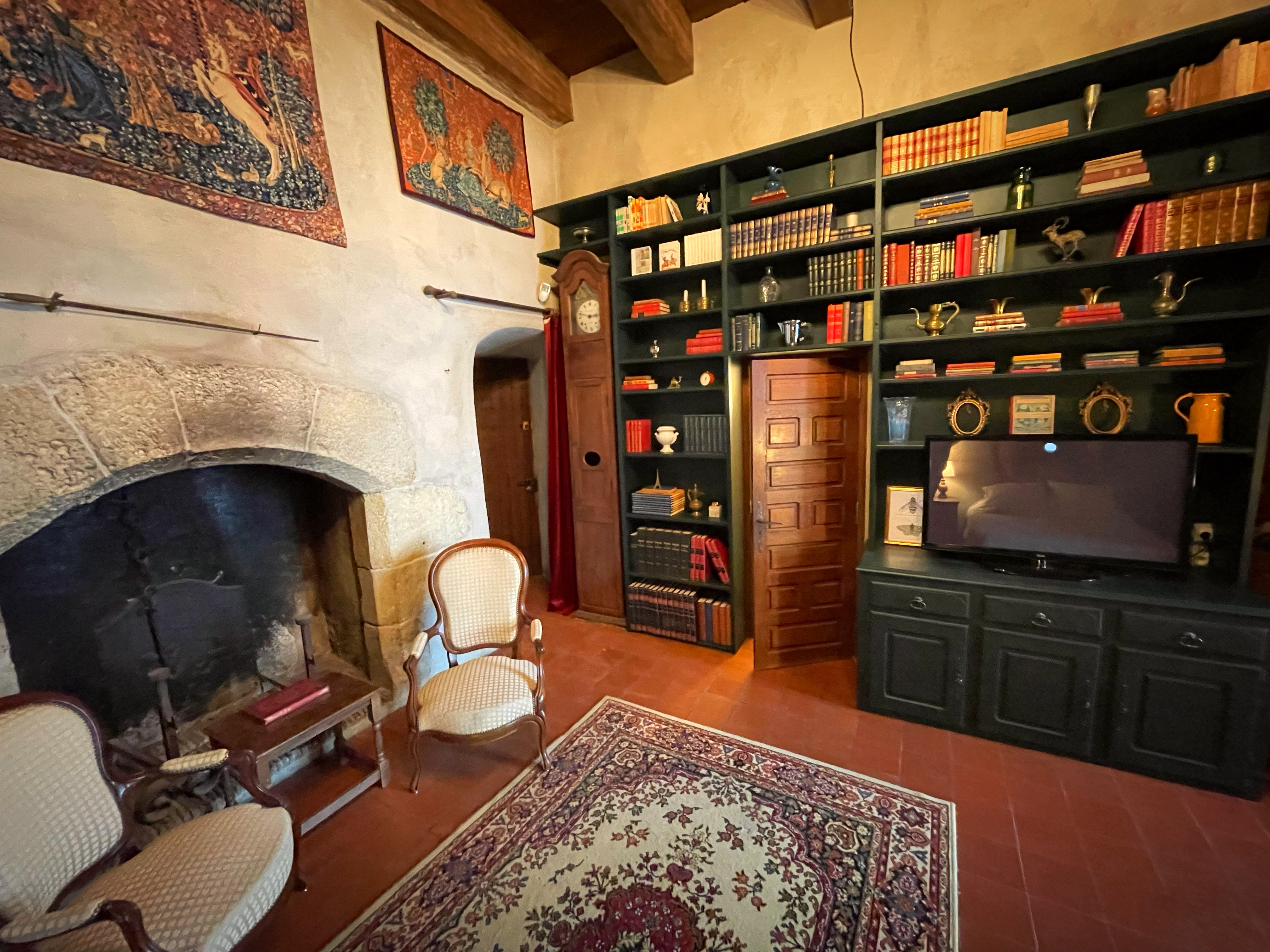 Château de Roussillon, Saint-Pierre-Lafeuille - photo 15