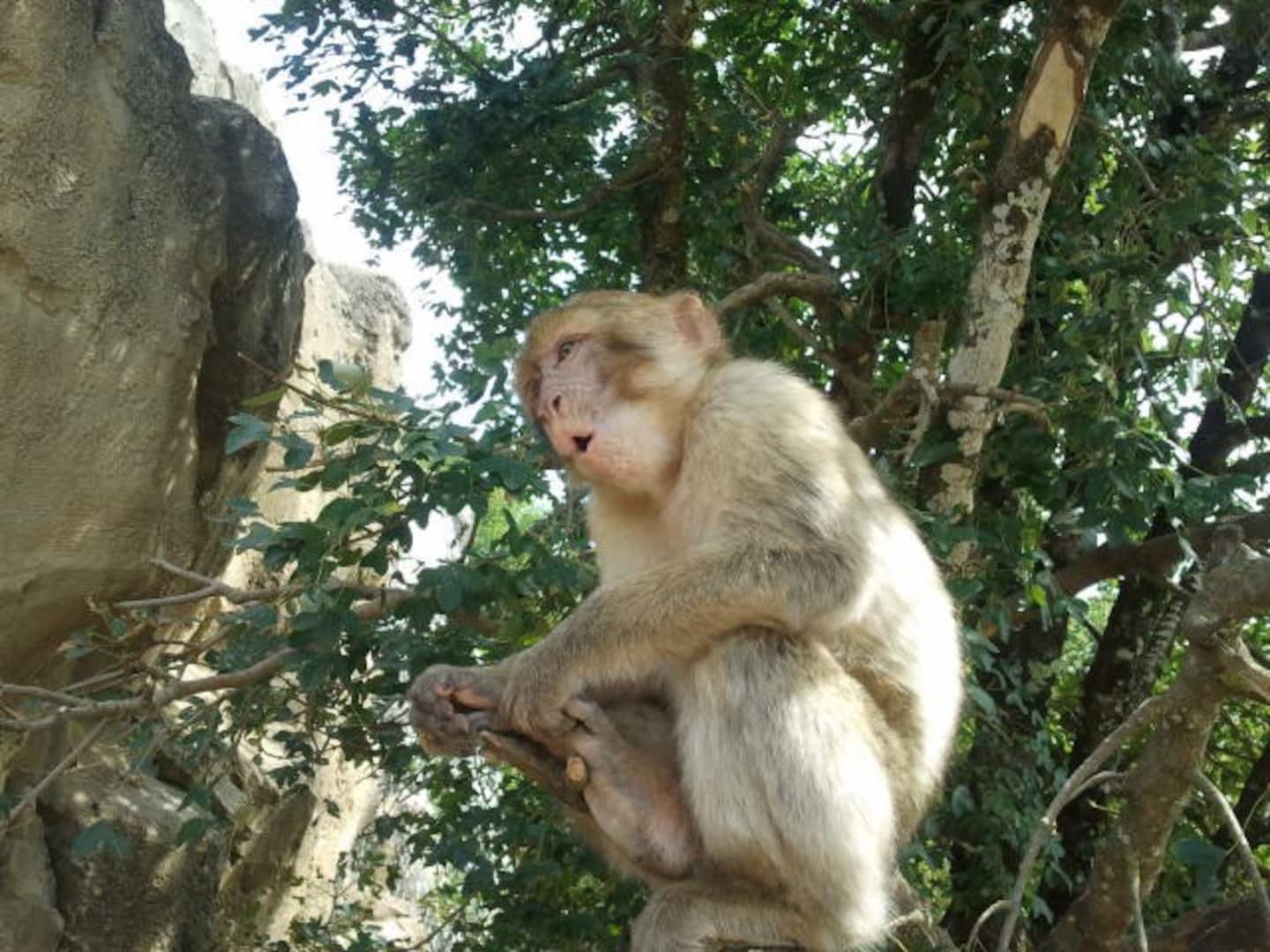 Le Domaine de Laval, Thémines - photo 7