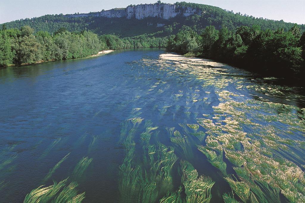 Chez Yvette, Saint-Sozy - photo 6