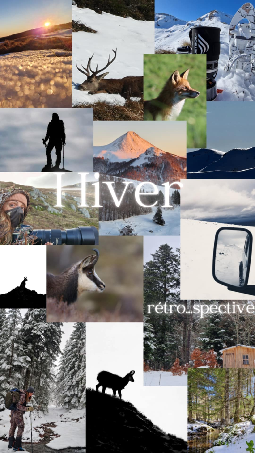 My Pause Nature, Montet-et-Bouxal - photo 2