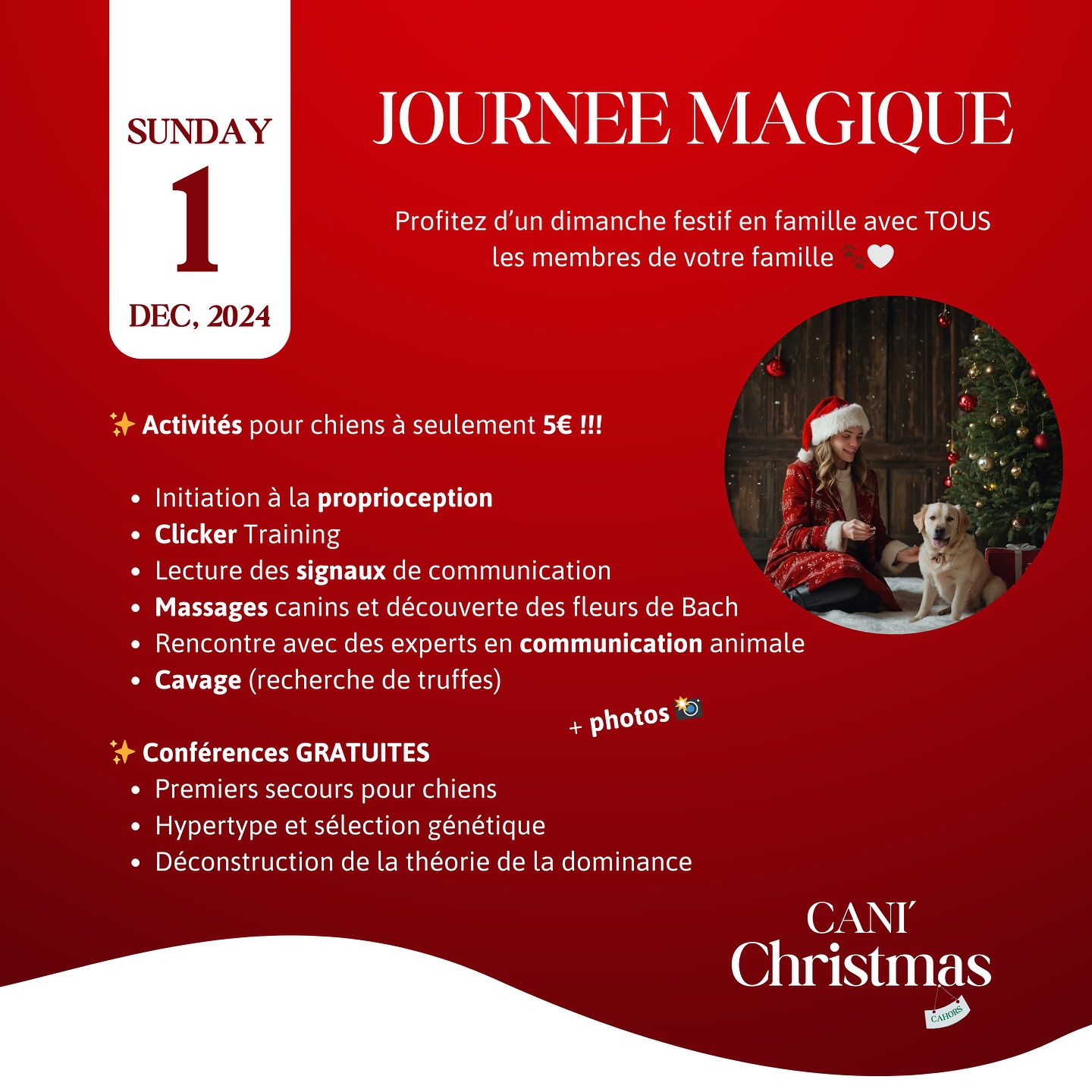 Marché de Noël canin du Refuge Canin Lotois