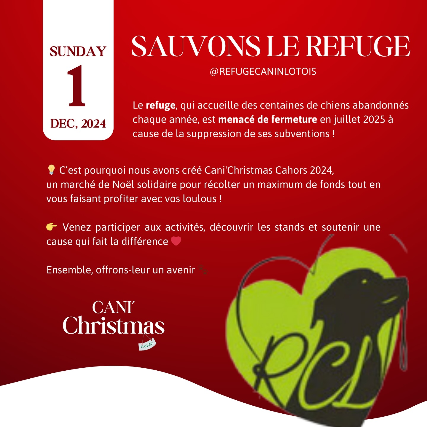 Marché de Noël canin du Refuge Canin Lotois, Cahors - photo 4