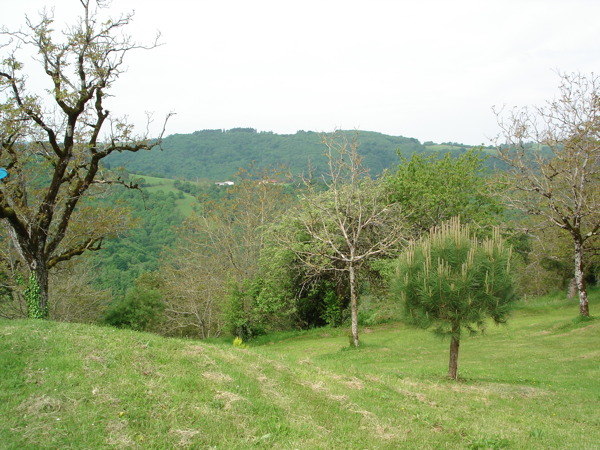 Maison Valade, Latouille-Lentillac - photo 10