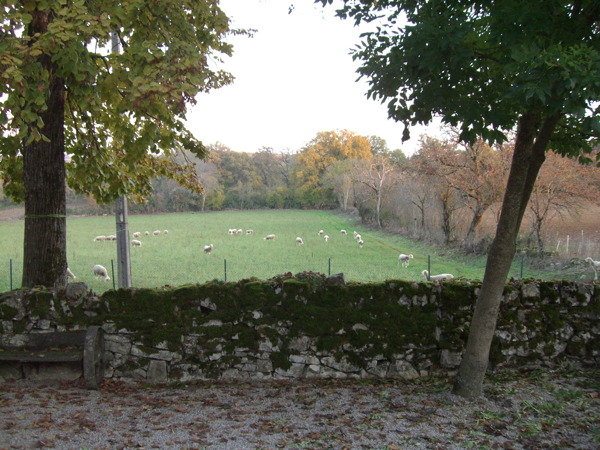 Le Mas de Gabat, Le Bourg - photo 7