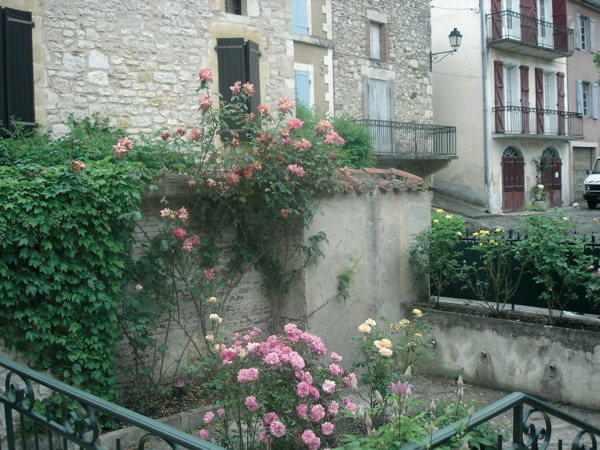Les Mirepoises, Albas - photo 5