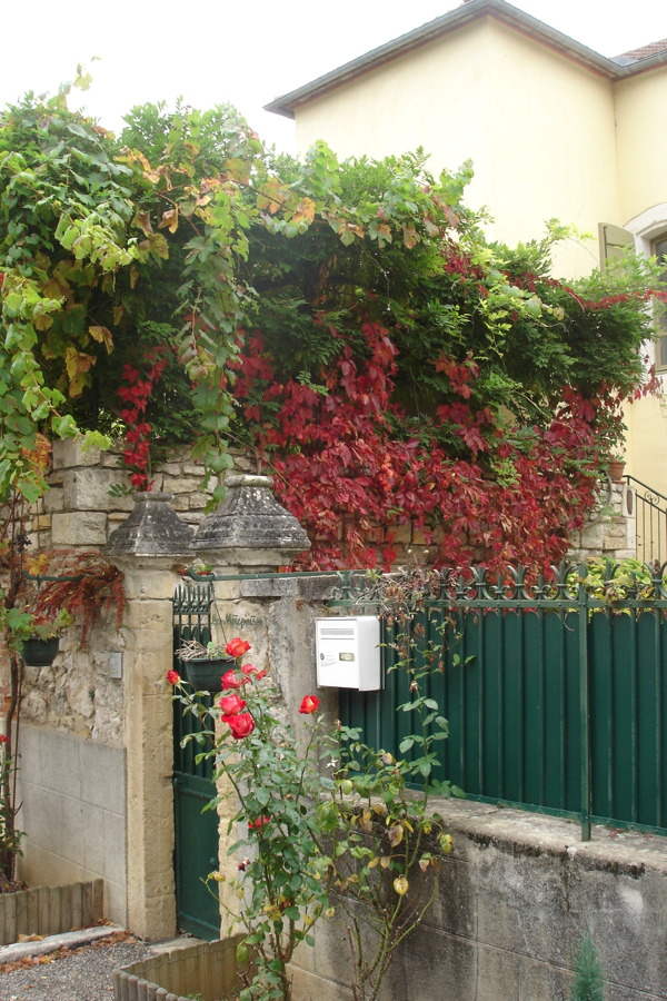 Les Mirepoises, Albas - photo 7