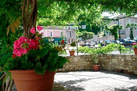 Les Mirepoises, Albas - photo 16