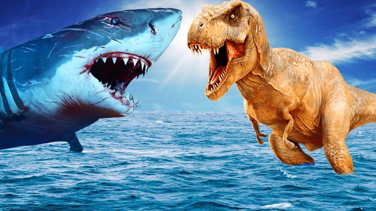 Exposition Jurassic Shark