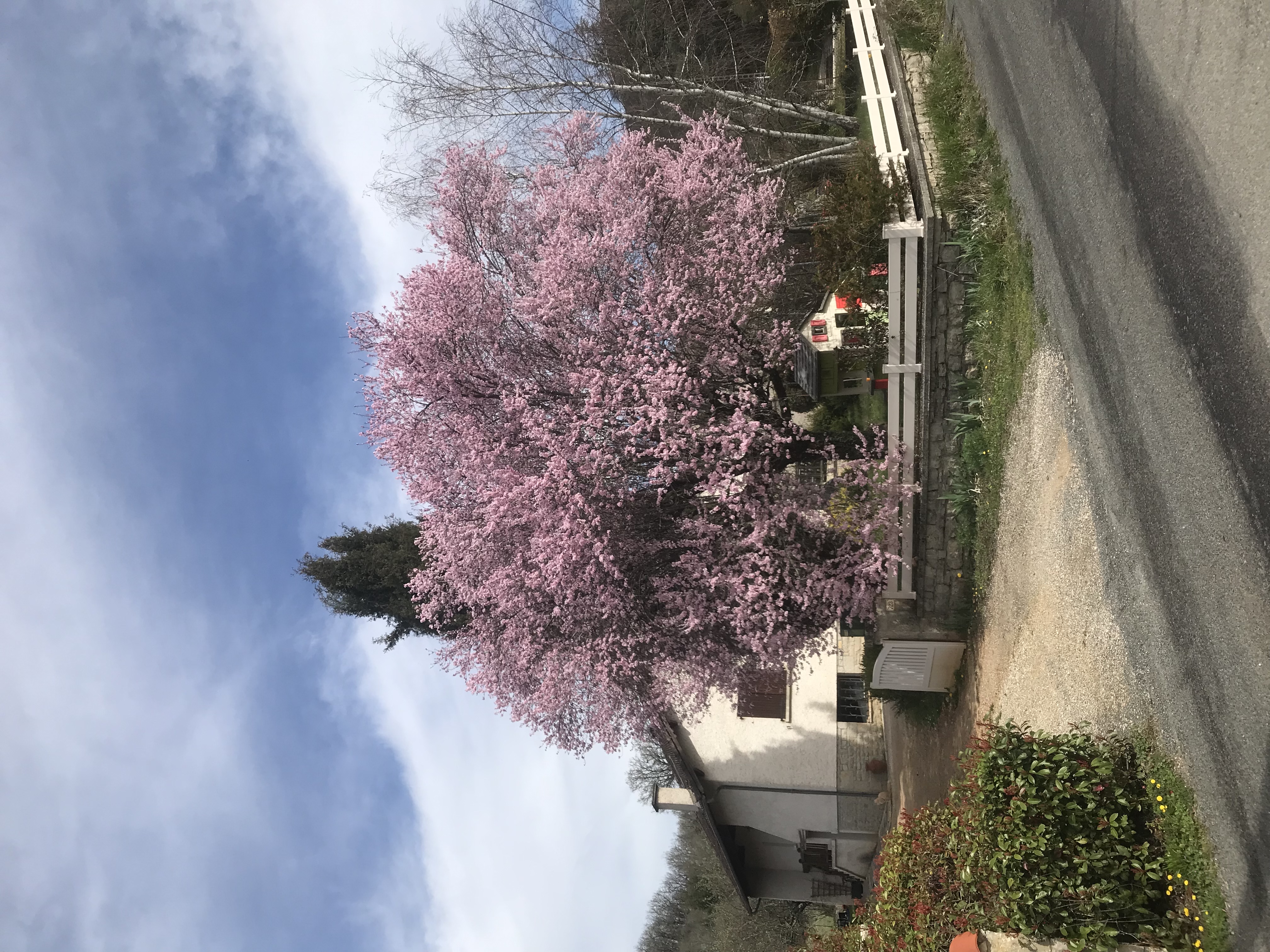 Patpèlerine, Cajarc - photo 3