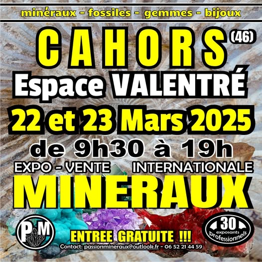 Salon des minéraux
