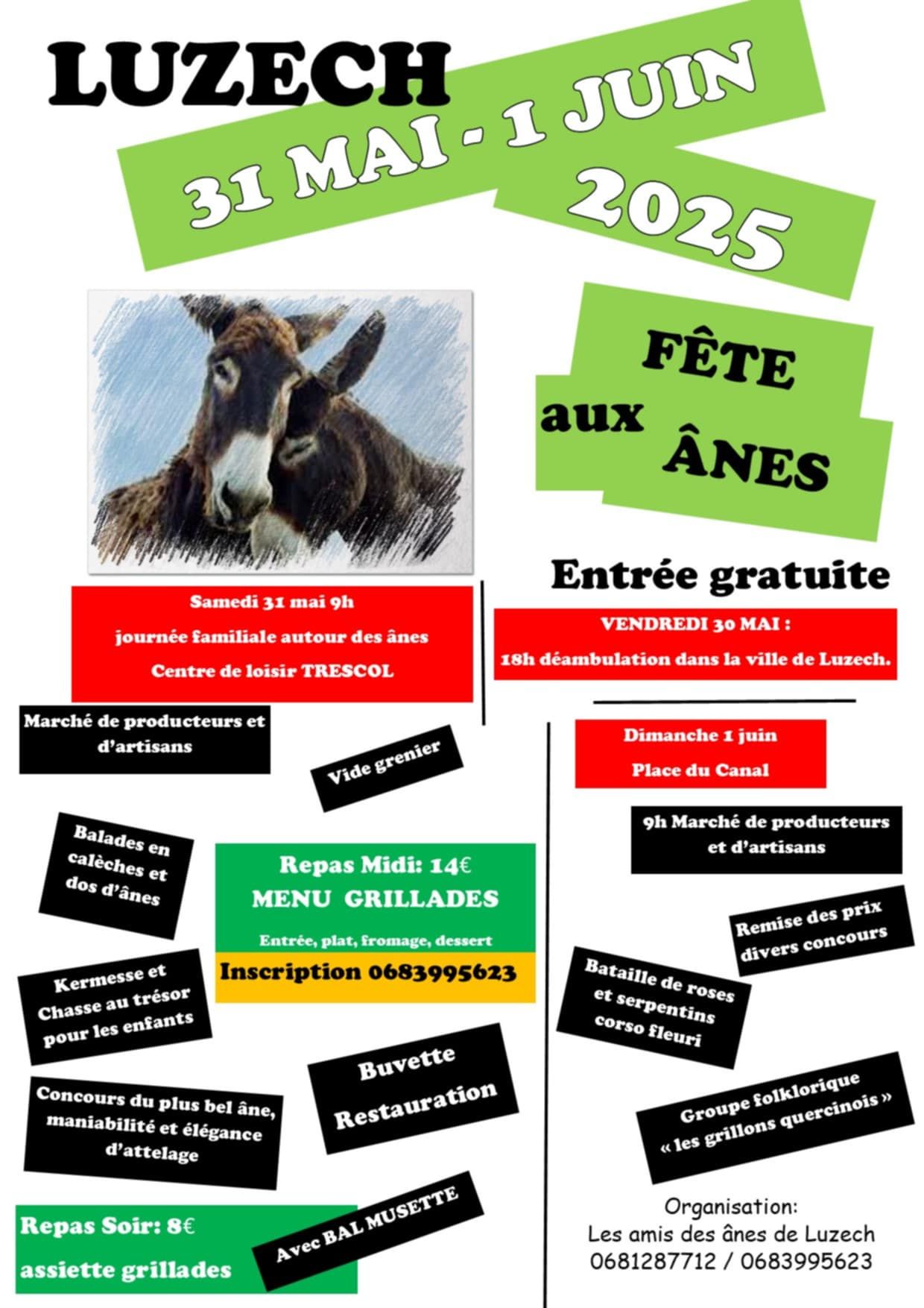 Fête aux ânes à Luzech