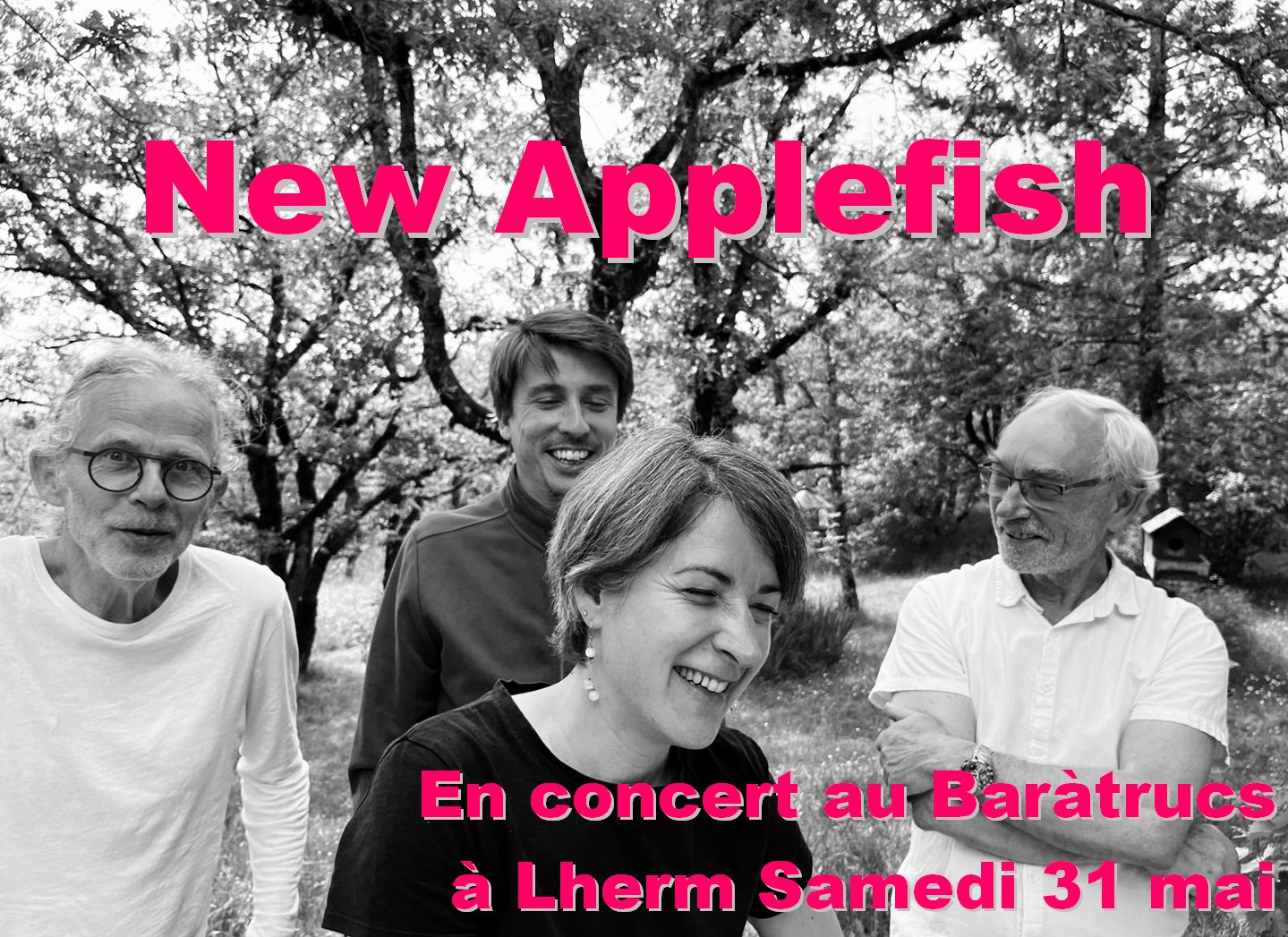 Concert au Bar à Trucs: New Applefish