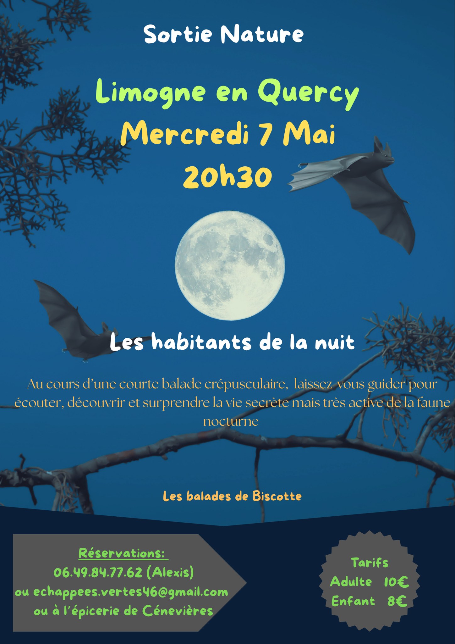 Sortie nature à Limogne: les habitants de la nuit