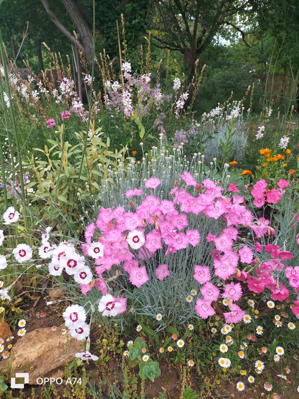 Les Rendez-vous aux Jardins: le jardin des Folioles à Prayssac — visuel événement
