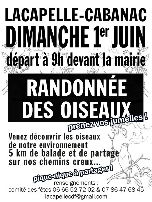 Randonnée des oiseaux à Lacapelle-Cabanac