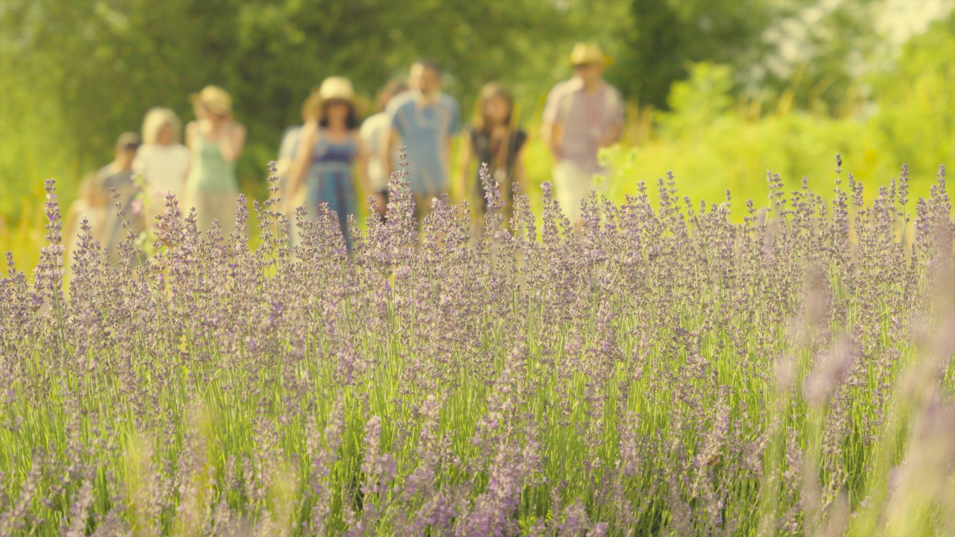 Le Mas de l'essentiel