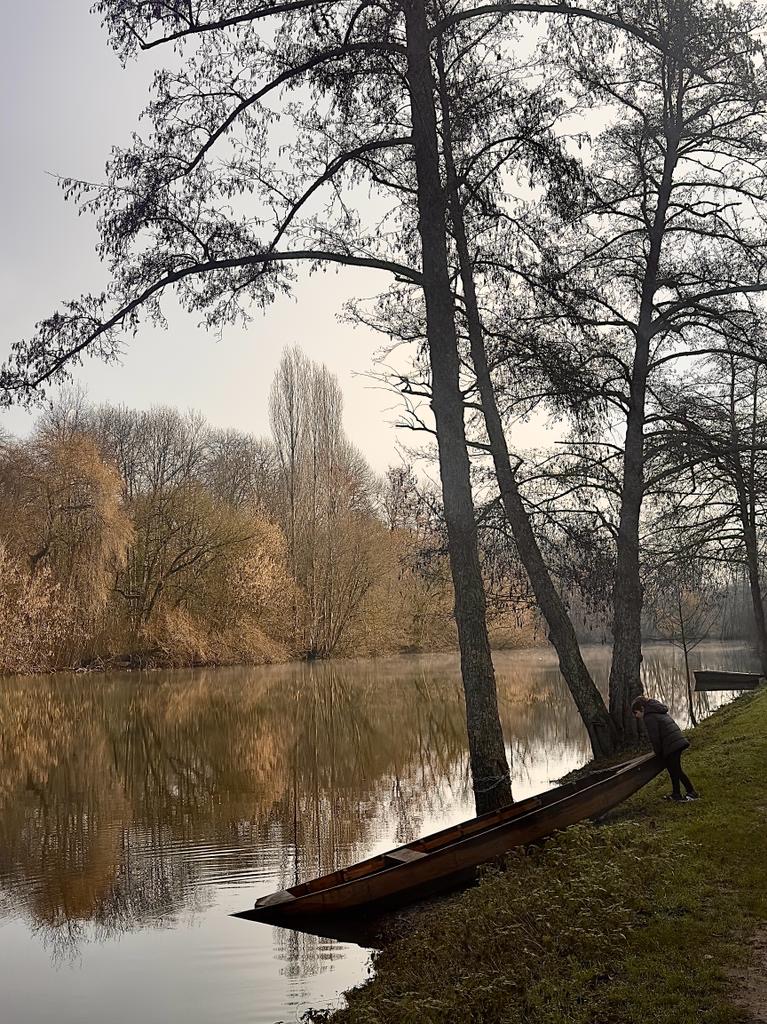 Manoir de Rieuzal, Loubressac - photo 22