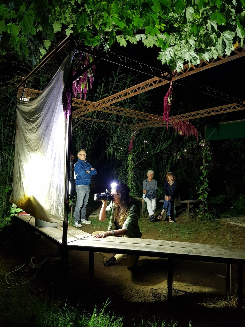 Animation de la LPO : Les papillons nocturnes au bord d'un ruisseau