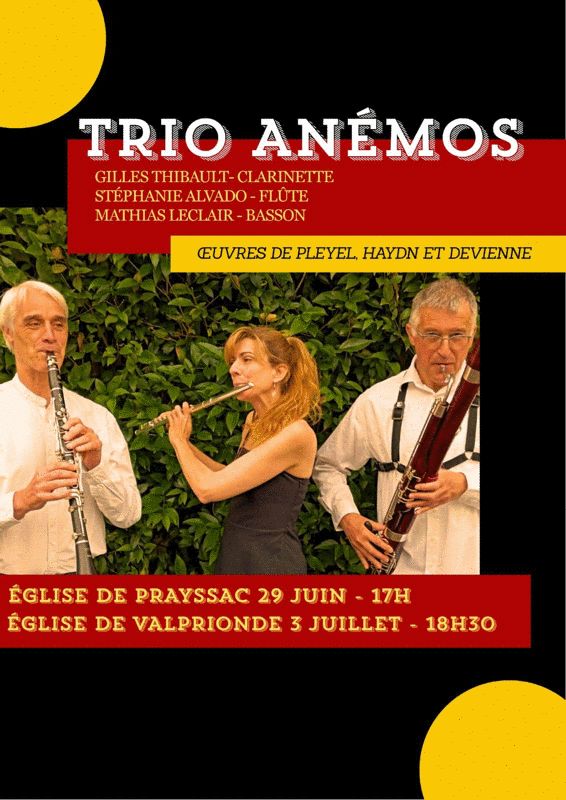 Trio Anémos en concert