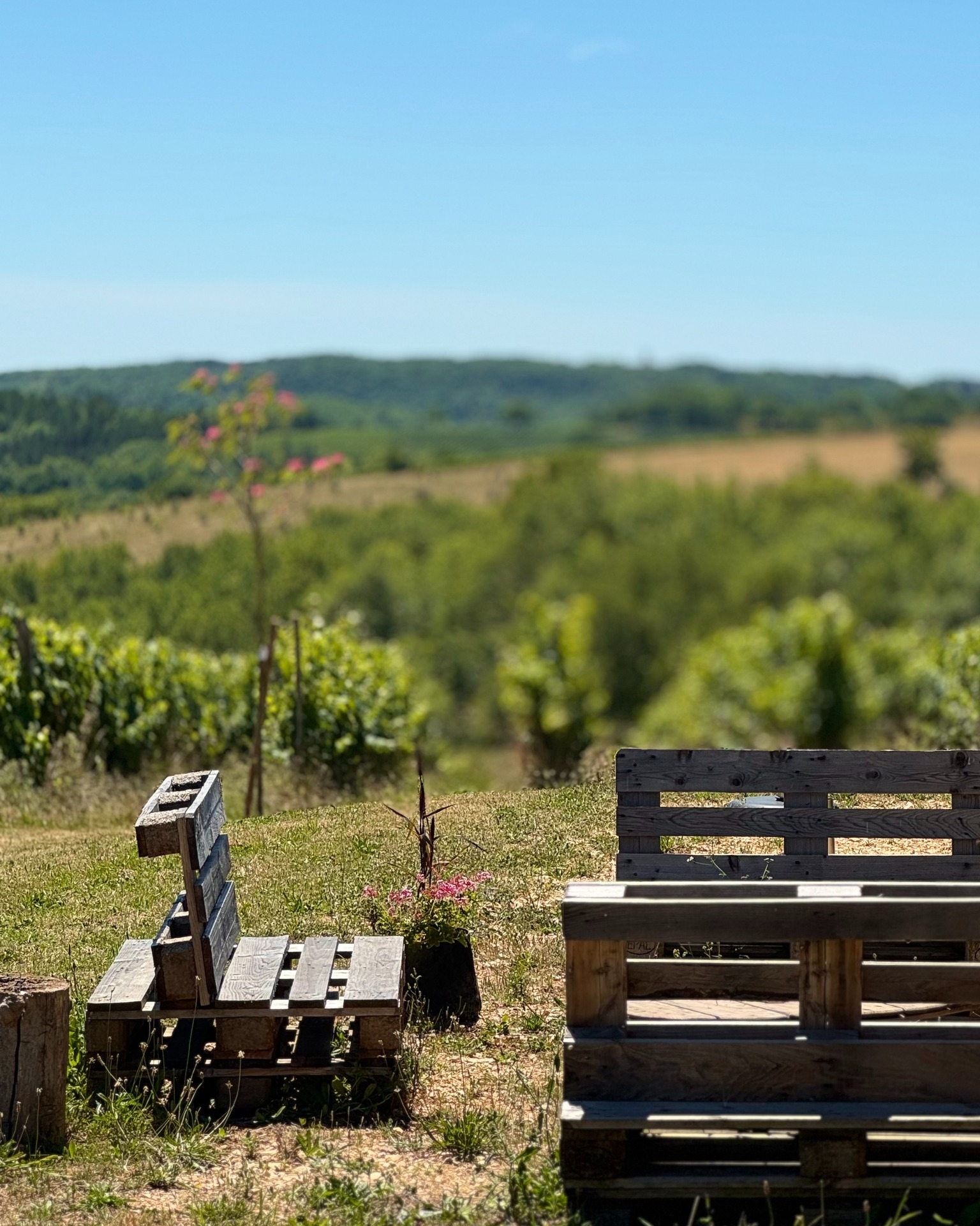 L'Everest : bar à vin et tapas, Floressas - photo 2