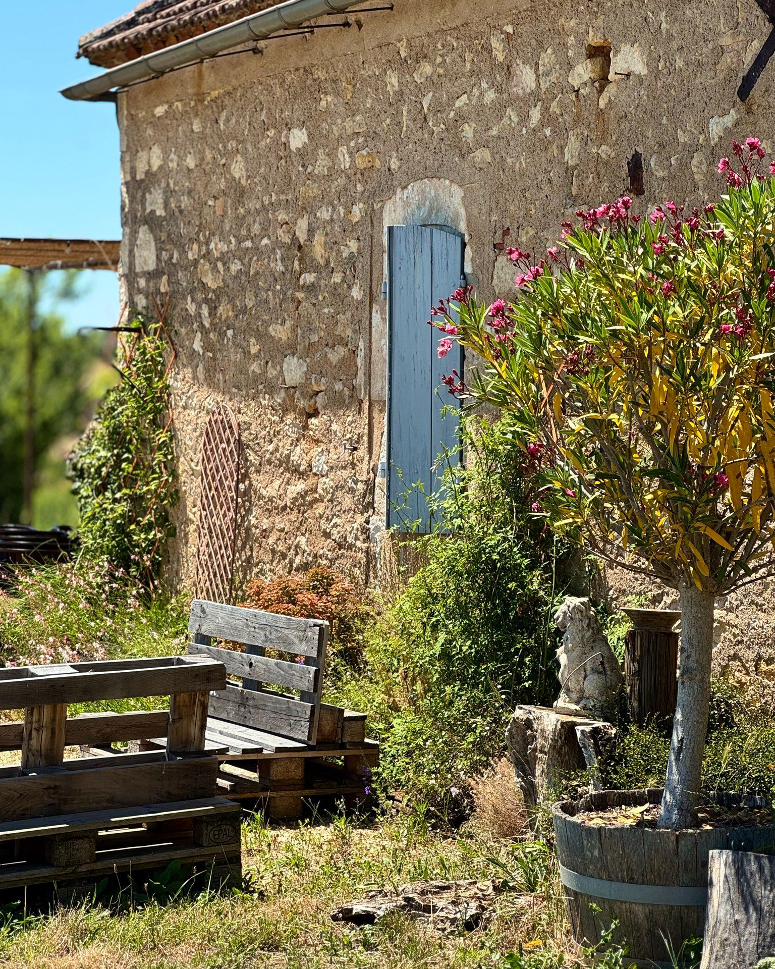 L'Everest : bar à vin et tapas, Floressas - photo 3