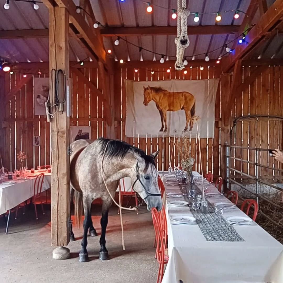 Les Banquets de l'été à la Jumenterie!, Théminettes