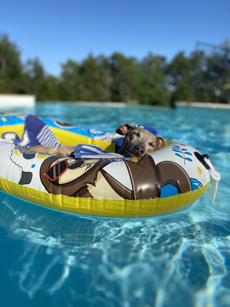 Gîte de Pereyroux, Masclat - photo 2