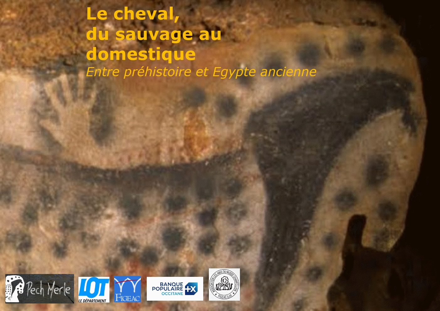 Le cheval : du sauvage au domestique