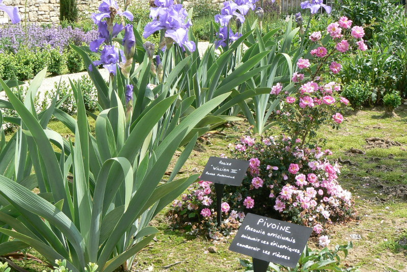 Jardin Médiéval du Barry, Salviac - photo 7